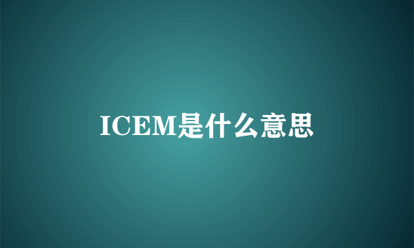 ICEM是什么意思