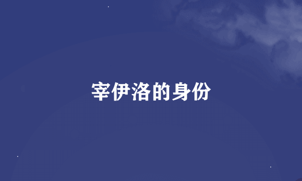 宰伊洛的身份