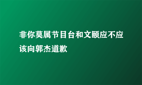 非你莫属节目台和文颐应不应该向郭杰道歉