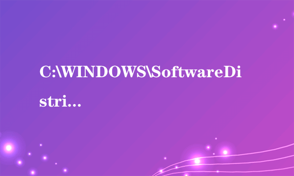 C:\WINDOWS\SoftwareDistribution\DataStore是什么文件，能删除吗