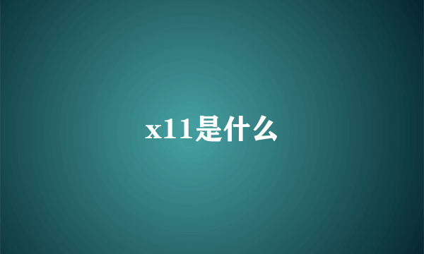 x11是什么