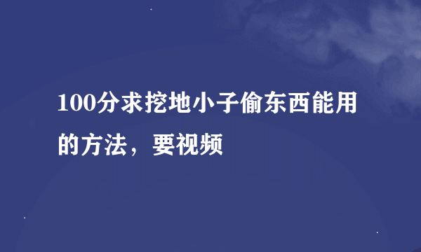 100分求挖地小子偷东西能用的方法，要视频