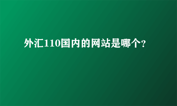 外汇110国内的网站是哪个？