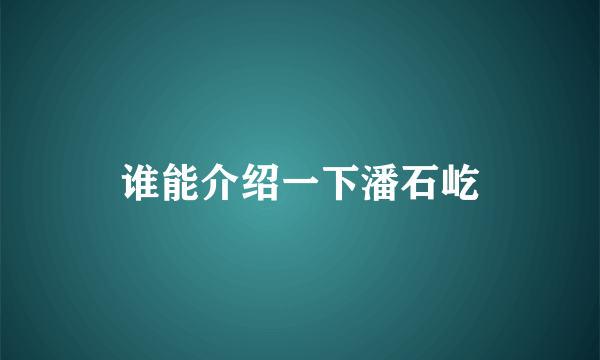 谁能介绍一下潘石屹