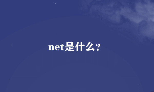 net是什么？