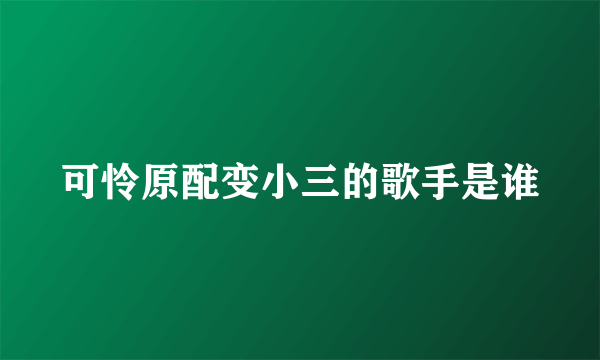 可怜原配变小三的歌手是谁