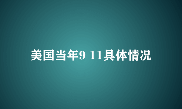 美国当年9 11具体情况