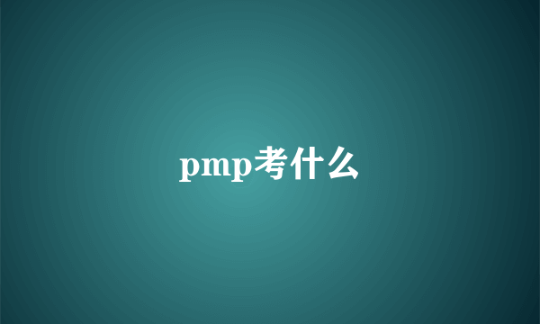 pmp考什么