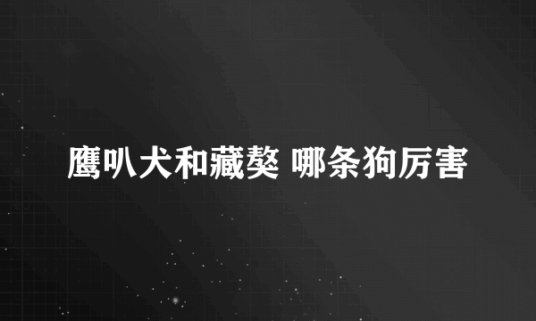 鹰叭犬和藏獒 哪条狗厉害