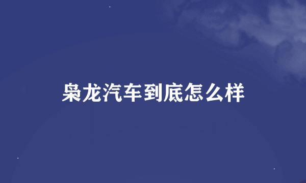 枭龙汽车到底怎么样