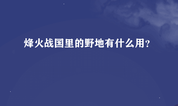 烽火战国里的野地有什么用？