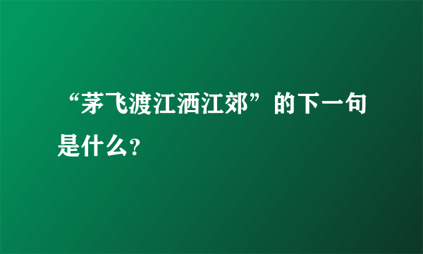 “茅飞渡江洒江郊”的下一句是什么？