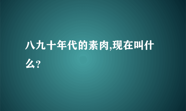 八九十年代的素肉,现在叫什么？