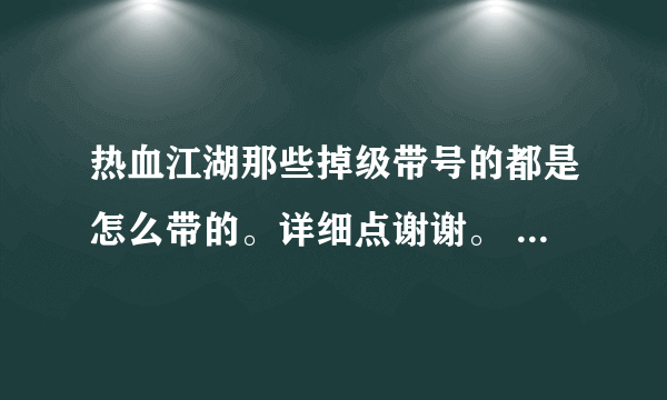 热血江湖那些掉级带号的都是怎么带的。详细点谢谢。 代练都是怎么带的