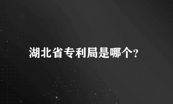 湖北省专利局是哪个？