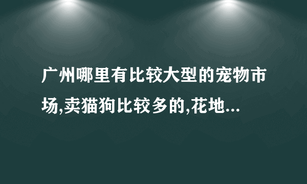 广州哪里有比较大型的宠物市场,卖猫狗比较多的,花地湾那边去过了,没什么卖小猫小狗的,还有别的地方么