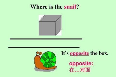 opposite的意思