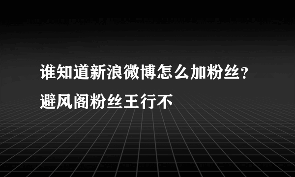 谁知道新浪微博怎么加粉丝？避风阁粉丝王行不