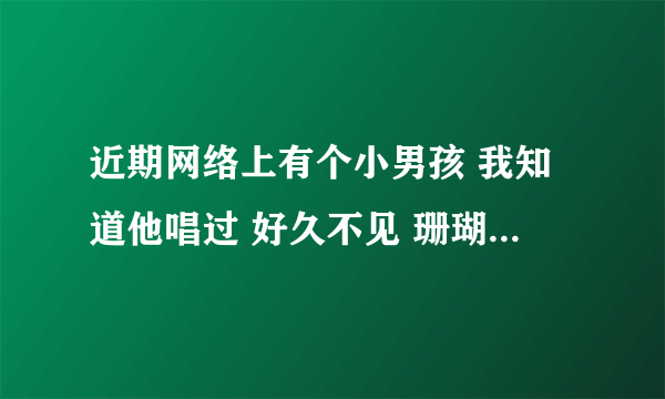 近期网络上有个小男孩 我知道他唱过 好久不见 珊瑚海 最熟悉的陌生人 有人知道这个小伙儿的信息么？