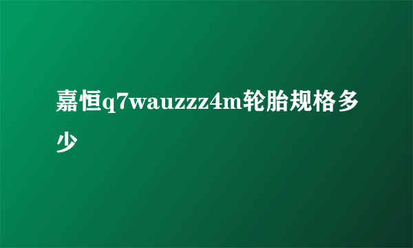 嘉恒q7wauzzz4m轮胎规格多少