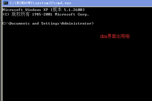 在windowsXP系统下怎么进入DOS命令
