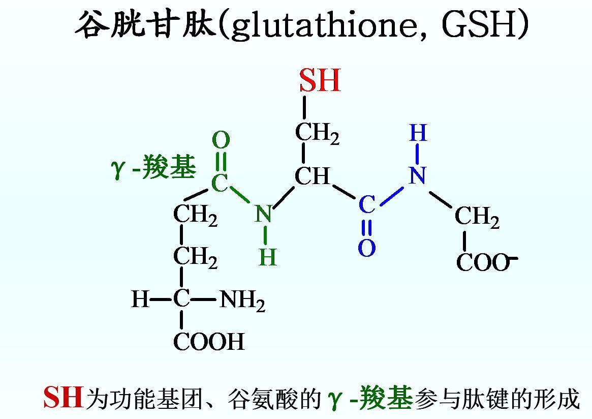 谷胱甘肽有什么作用？