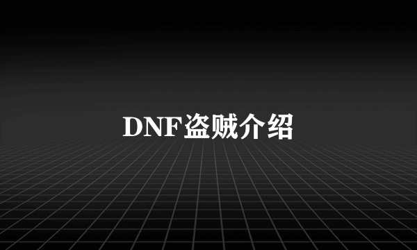 DNF盗贼介绍