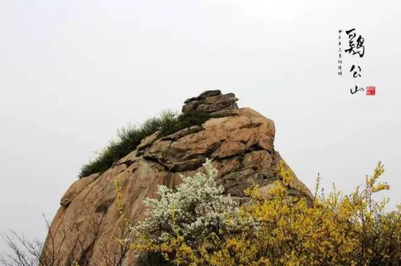 信阳鸡公山海拔高度是多少