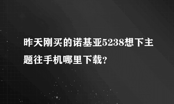 昨天刚买的诺基亚5238想下主题往手机哪里下载？