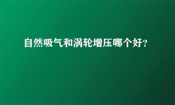 自然吸气和涡轮增压哪个好？