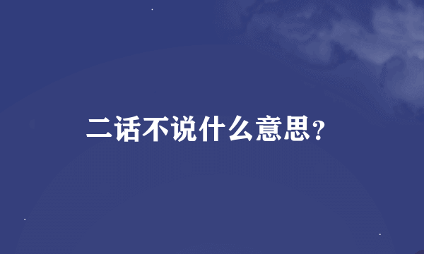 二话不说什么意思？