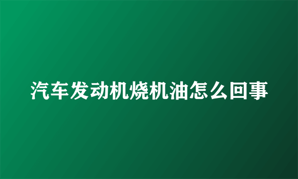 汽车发动机烧机油怎么回事