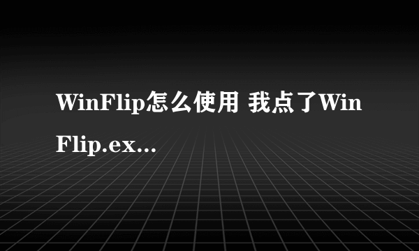 WinFlip怎么使用 我点了WinFlip.exe怎么没反映？