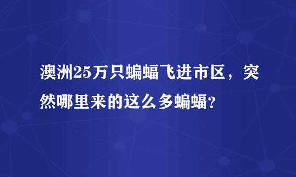 澳洲25万只蝙蝠飞进市区，突然哪里来的这么多蝙蝠？