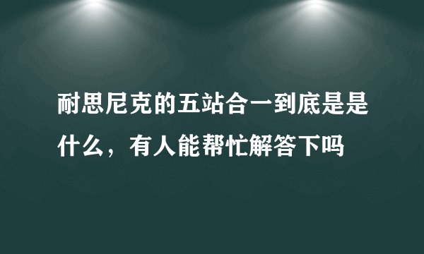 耐思尼克的五站合一到底是是什么，有人能帮忙解答下吗