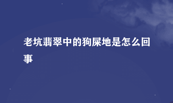 老坑翡翠中的狗屎地是怎么回事