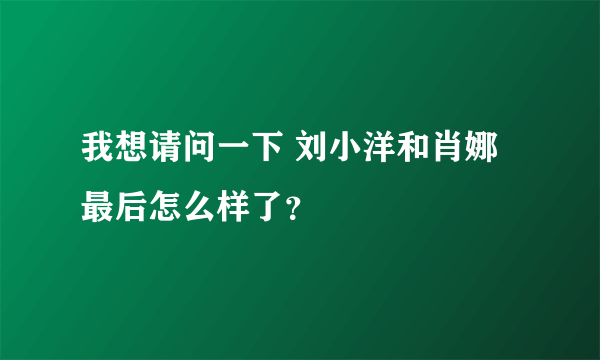 我想请问一下 刘小洋和肖娜最后怎么样了？