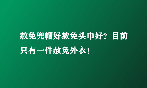 赦免兜帽好赦免头巾好？目前只有一件赦免外衣！