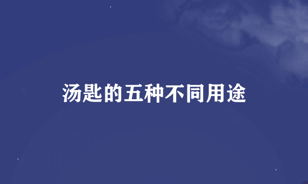 汤匙的五种不同用途