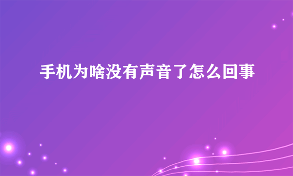 手机为啥没有声音了怎么回事