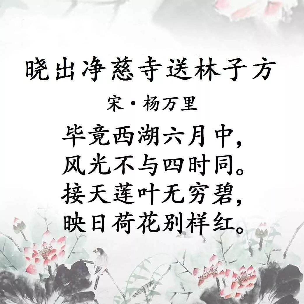 晓出净慈寺送林子方的意思