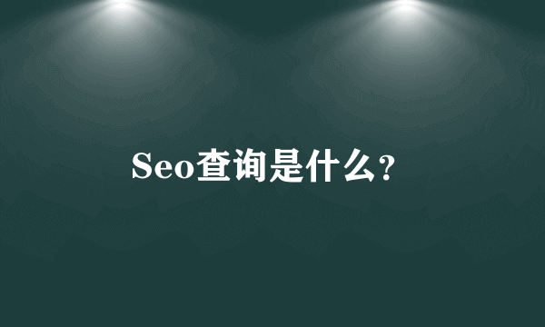 Seo查询是什么？