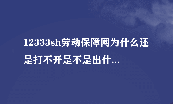 12333sh劳动保障网为什么还是打不开是不是出什么问题了啊？