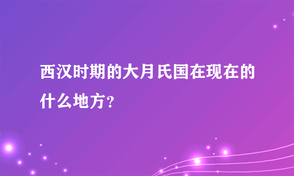 西汉时期的大月氏国在现在的什么地方？