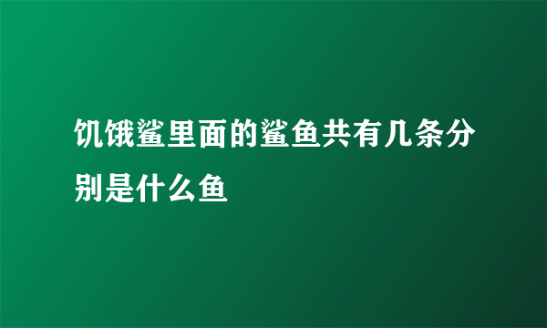 饥饿鲨里面的鲨鱼共有几条分别是什么鱼