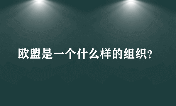 欧盟是一个什么样的组织？