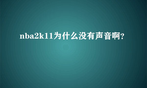 nba2k11为什么没有声音啊？