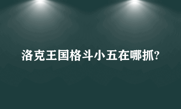 洛克王国格斗小五在哪抓?