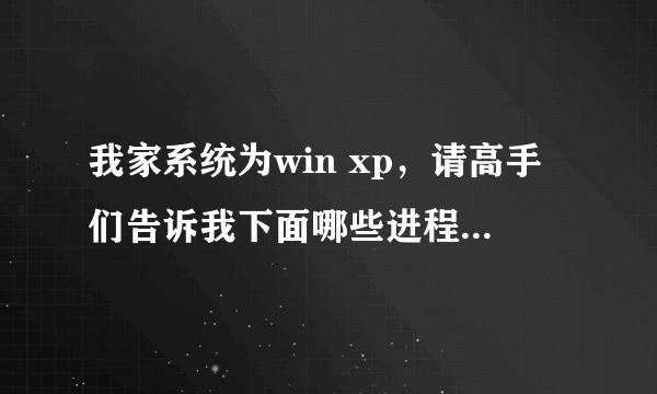 我家系统为win xp，请高手们告诉我下面哪些进程是多余的，如何永久关闭