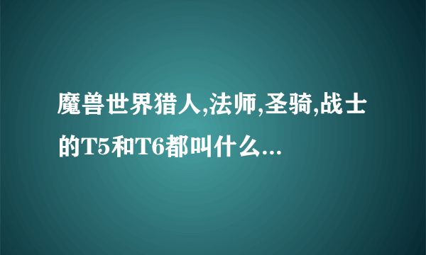 魔兽世界猎人,法师,圣骑,战士的T5和T6都叫什么?在哪个副本BOSS掉?